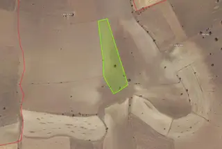 Talas Ardıç Köyü Satılık 7.650 M2 Tarla Fc Gayrimenkul