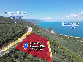 İznik Aydınlar Köyünde Asfalt Cephe Müthiş Manzaralı Zeytinlik