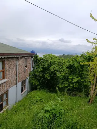 Fatsa Yalıköy Satılık Arazi Ful Deniz Manzaralı