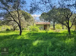 Bergama Kozak Okçular Bahçe Satılık