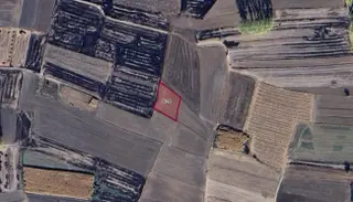 Varlı Kent'ten Edirne Havsa'da 1040 M2 Müstakil Tapulu Tarla