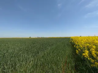Tekirdağ Muratlı Ballıhoca Mahallesinde Satılık 6200 M2 Tarla