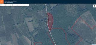 Kaçmaz Emlak'tan Sakarya Hendek'te Satılık 9824 M2. Fındıklık