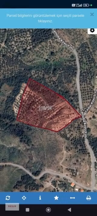 Ayvalık Çamoba Köyünde Yol Üzeri Satılık Zeytinlik