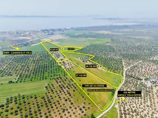 Pera Gayrimenkulden Ayvalık'ta Satılık 164 Dönüm Tarla-zeytinlik