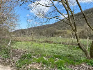 Kırklareli'nde Satılık Müthiş Bahçe...