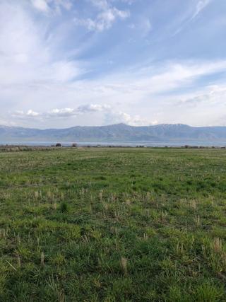 Mevsim Gayrimenkul Sedeftepe Mığı Bahçelik Yolu Olan Küçük Tarla Mevsim Gayrimenkul Sedeftepe Mığı Bahçelik Yolu Olan Küçük Tarla