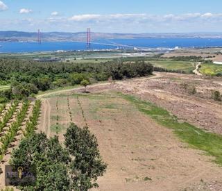 Çanakkale Lapseki Kocaveli Köyünde Satılık Super Konumda Tarla Çanakkale Lapseki Kocaveli Köyünde Satılık Super Konumda Tarla