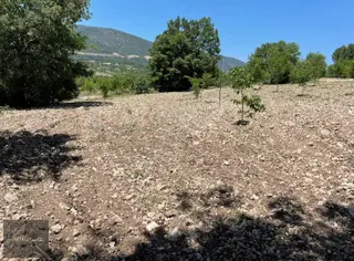 Nitelik'ten Keles Denizler Mahallesinde Satılık Tarla (cevizlik) Nitelik'ten Keles Denizler Mahallesinde Satılık Tarla (cevizlik)