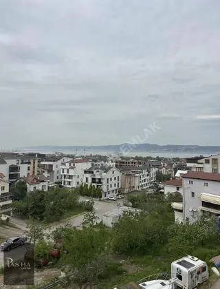 Ful Deniz Ve Doğa Manzaralı
