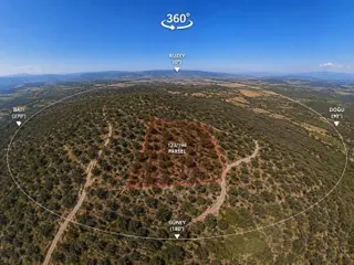 Aydın Koçakta Satılık Zeytinlik