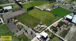 İzmir Urla Kuşçular Satılık 7.222 M2 Tarla