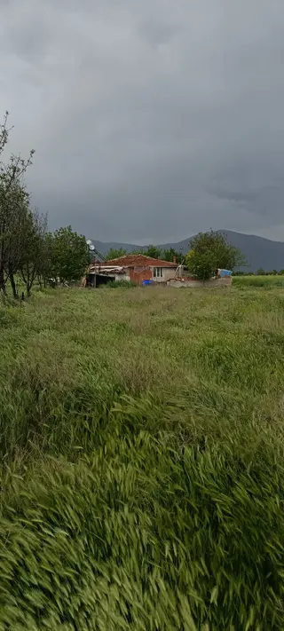 Denizli Acıpayam Yumrutaş Satılık 1287 M2 Arsa