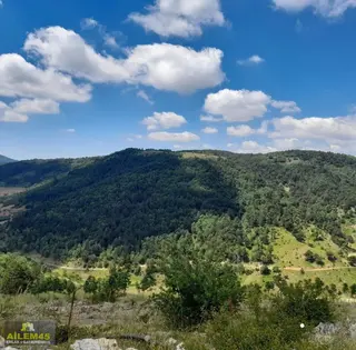 Salihli Şirinyer Yaylasında Satılık Arazi