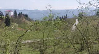 Kamışlı'da Önü Açık Doğa Manzaralı Arazi
