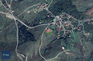 Şile Geredeli 1374 M2 İmarlı Arsa