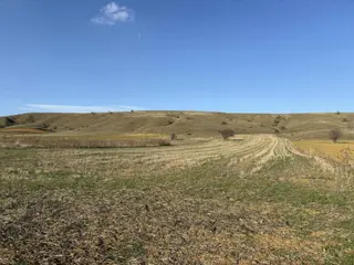 Mustafa Yılmaz'dan Söğüt Oluklu'da 4.390m² Arazi