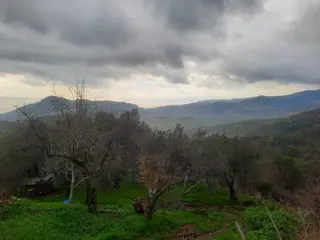 Tamer'den Adatepebaşında Full Deniz Manzaralı Satılık Arsa