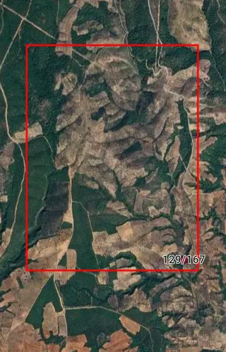 & Kerim'den Satılık Bayramiç'de Yatırımlık Zeytinlik