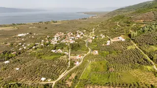 Akharem İznik Gölü Satılık Araç Yolu Olan 4142m2 Tarla Profasor