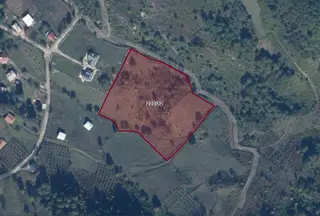 Fırsat ! Satılık 3.500 M2 Tarla Sakarya / Hendek