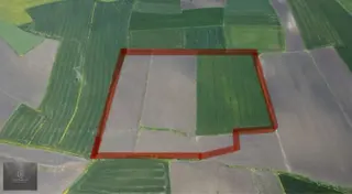 Edincikte Fabrikalara Yakın 65.951 M² Yatırımlık Tarla
