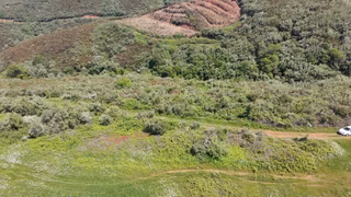 Balıkesir Bandırma Sahil Yenice Mah. 5.465 M2 Satılık Tarla Yatırımlık