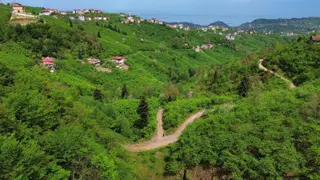 Trabzon Arsin'de Satılık Arazi Trabzon Arsin'de Satılık Arazi