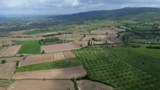 Eşme Cevizli Köyü'nde 14.700 M² Satılık Ceviz Bahçesi