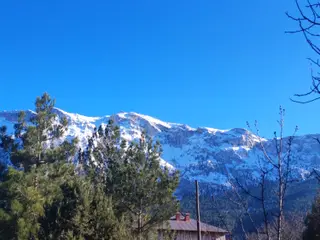 Kar Emlaktan Akçatekir Ardiç Arasında 303m2 Satılık Arsa