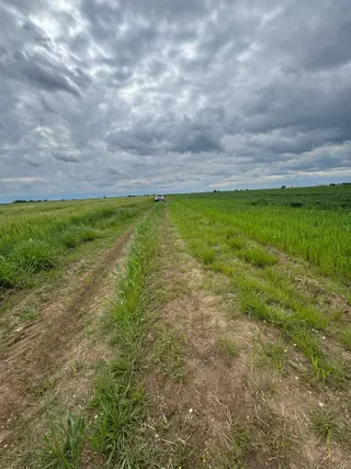 Dokuzhöyük'de Satılık 5.100 M2 Tarla