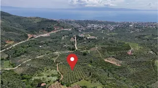 Termal Turizm Alanında İmara Yakın 26.192m2 Fırsat Zeytinlik