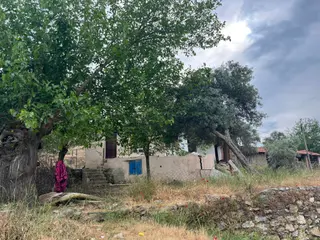 Ege'de Yatırımlık Arsa | 484 M² | Ayrık Nizam İmarlı Muğla/milas
