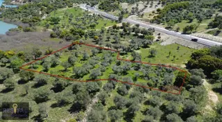 Çankkale Gökçeada Zeytinli Köyde 3.000 M2 Zeytinlik Çankkale Gökçeada Zeytinli Köyde 3.000 M2 Zeytinlik
