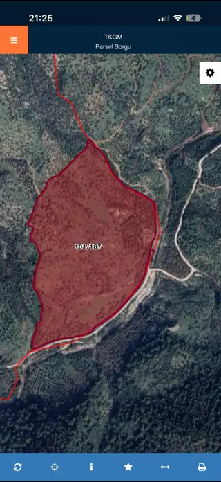 Mega Emlak'tan Satılık Dıkılı Mazılı'da 185.000 Metre² Tarla
