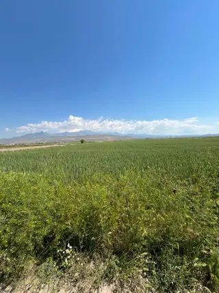 Öz Gaye Emlaktan Develi Sindelhöyük Taşlıyer Mevkinde Satılık Tarla Öz Gaye Emlaktan Develi Sindelhöyük Taşlıyer Mevkinde Satılık Tarla
