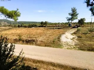 Çanakkale Eceabat Bigalı'da Denize Yakın Asfalta Cepheli Kupon Cevizlik