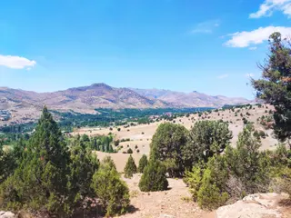 Kar Emlaktan Aşçıbekirli Fenese Mevkiinde 450 M2 Satılık Arsa