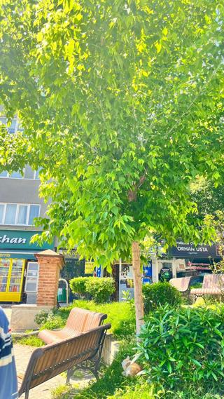 Asker Emlaktan Namazgahta 2+1 110 M2 Kiralık Daire Asker Emlaktan Namazgahta 2+1 110 M2 Kiralık Daire