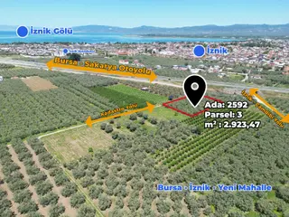2m Yatırım'dan İznik Merkez Mahallede Fırsat Zeytinlik