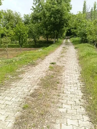 Halkapınar Nernekte 107 Ada 1 Parselde975 M² Bahçe