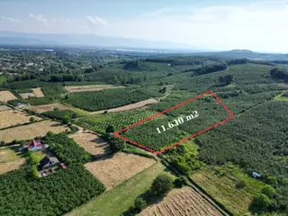 Dündar Gayrimenkul'den Hendek Kazımiye Mahallesinde Fırsat Arazi