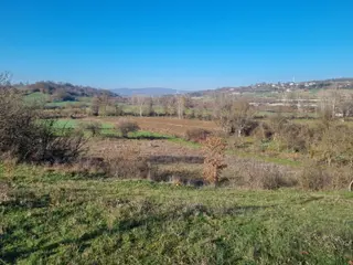 Akgün Kurumsal'dan Kavak'da Satılık Fırsat 1800 M2 Tarla