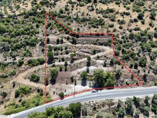Milas Kayabaşı'nda Asfalt Yola Sıfır 4477m² Müstakil Zeytinlik