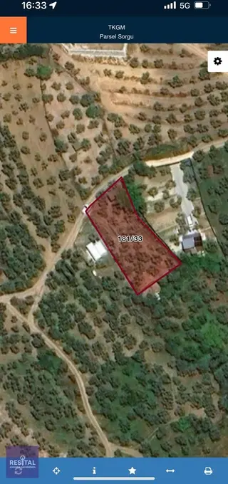 Mudanya Çepni 842m2 Zeytinlik/hobi Bahçesi -bölgenin Gözdesi-