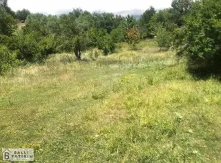 Ballı Yatırım'dan Keles Dağdibi Köyünde Tek Tapu 960m2 Tarla