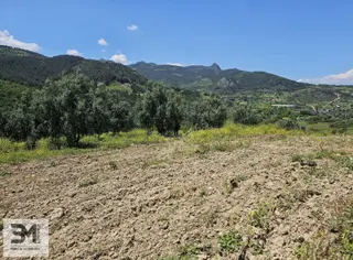 Sakarya Umurbey'de 526m² Projeli Satılık Arsa - Yatırım Fırsatı Sakarya Umurbey'de 526m² Projeli Satılık Arsa - Yatırım Fırsatı