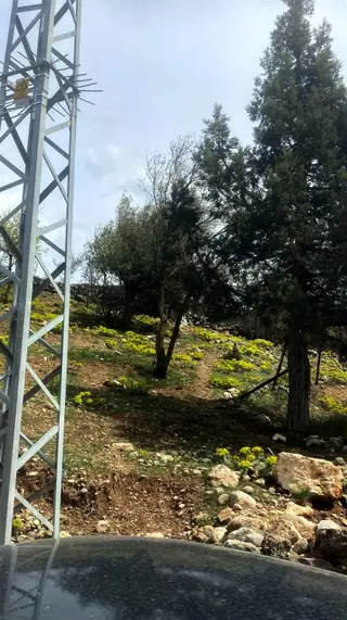 Kar Emlaktan Mersın Tarsus Panzı Çukuru 1130 M2 Satılık Arsa