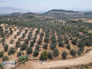Helvacıda Tarla Fırsatı