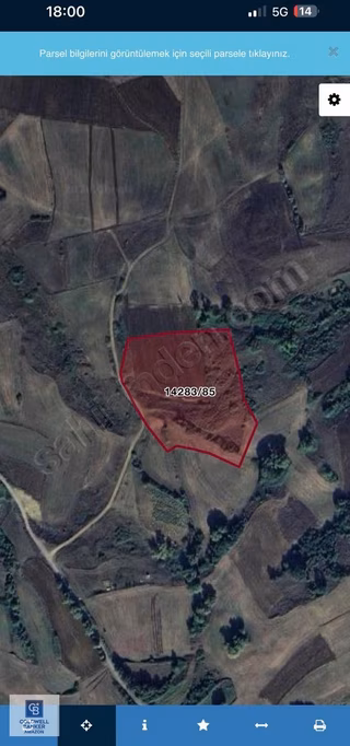 Cb.amazon Uzgur Mahallesinde 1439 M2 Yatırımlık Tarla Hissesi